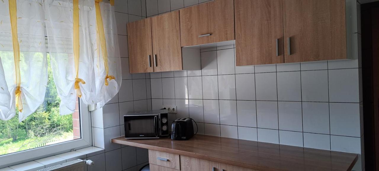 ボロビツェ Gorskie Zacisze Bed & Breakfast エクステリア 写真