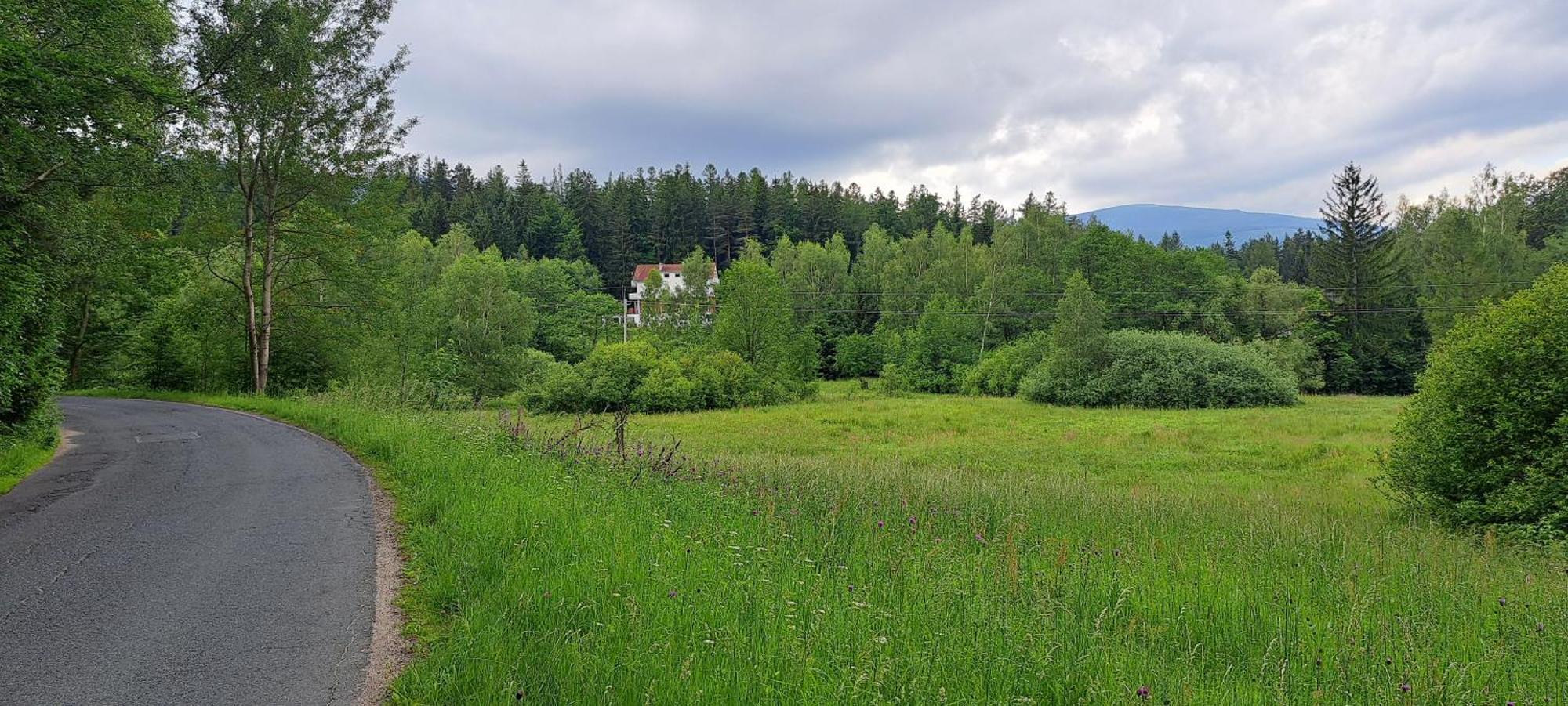 ボロビツェ Gorskie Zacisze Bed & Breakfast エクステリア 写真