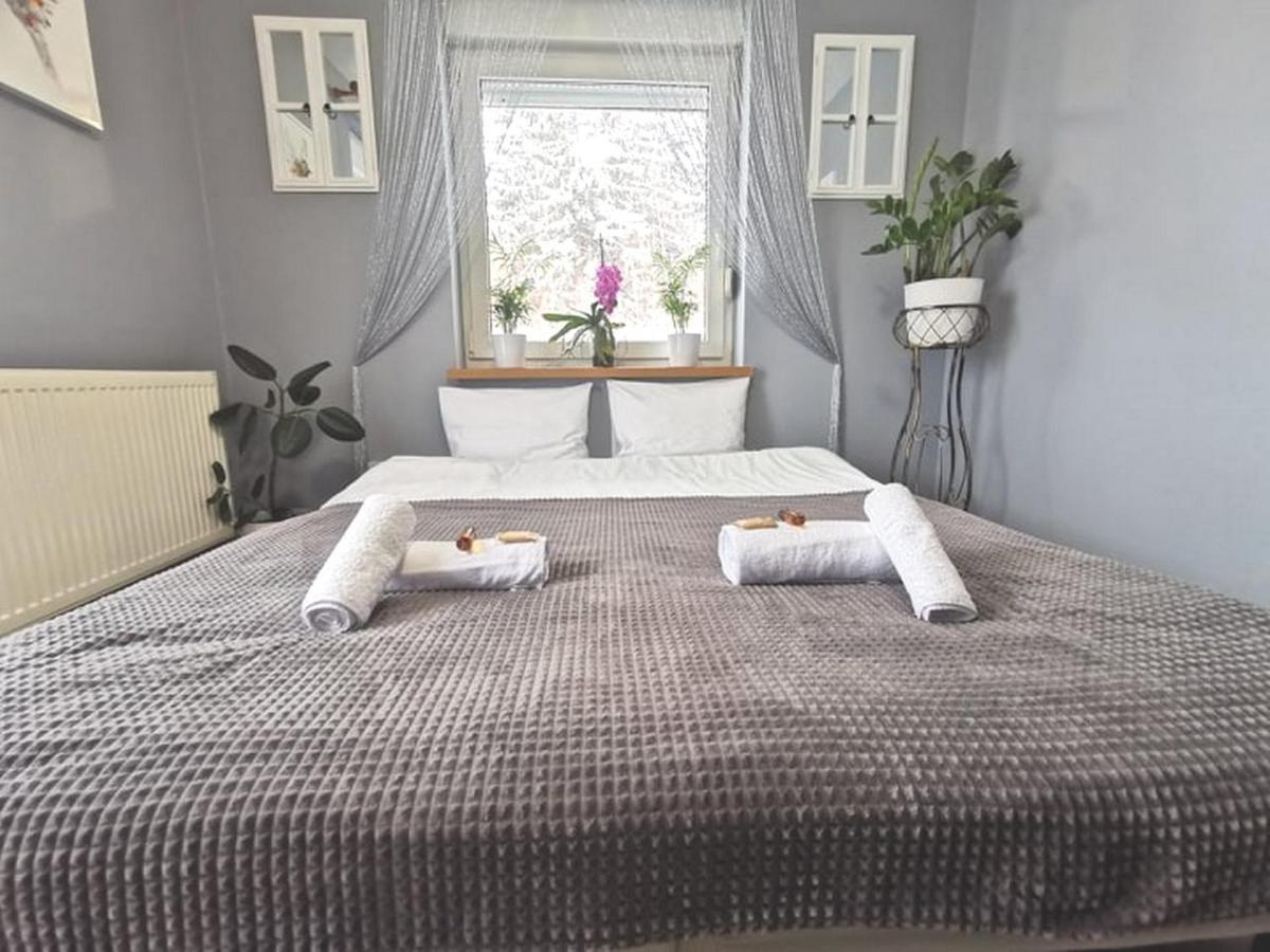 ボロビツェ Gorskie Zacisze Bed & Breakfast エクステリア 写真